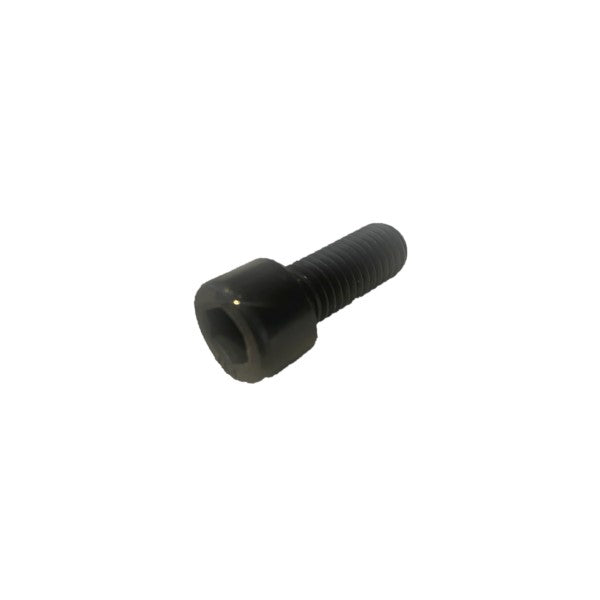 Socket Head Cap Screw, Hex, M10-1.5 x 25mm L - 1139618